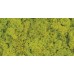 REINDEER MOSS 4 OZ  Spring Green (HEADER)
